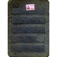 НЕПОЧТОВЫЕ МАРКИ,  СССР , марка  ОСВОД