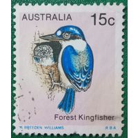 Австралия. Фауна. Kingfisher