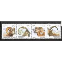 ФФ1 Россия 2013 Фауна