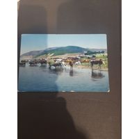 Открытка. На Волге в Жигулях, в селе Ширяево. Подписана