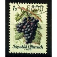 Австрия - 1966 [Mi. 1224] Гашеная (AT07)