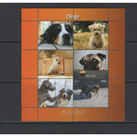 Малави 2011  Домашние животные Собаки