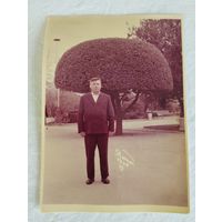 Фотография: Ялта, 1969