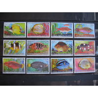 Кокосовые (киллинг) о-ва.  Коралловые рыбки, 12 марок.  1979 г. 2 фото. см. условие.