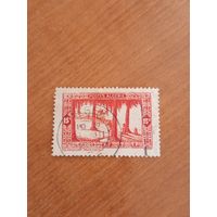 Французская колония Алжир флора (5-4)