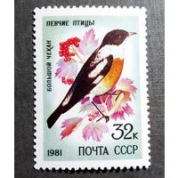 Марка СССР 1981 год Птицы