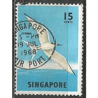 Сингапур. Птицы. Светлая крачка. 1966г. Mi#61.