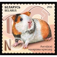 БЕЛАРУСЬ  2025  "Детская филателия. Домашние питомцы" MNH
