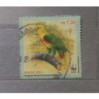 Бразилия. 2001г. Фауна.