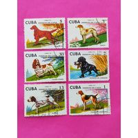 Куба. Собаки. ( 6 марок ) 1976 года. 11-12.