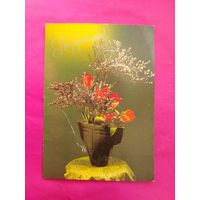 Поздравляю! Чистая. 1984 года. Фото Суворовой. 1766.