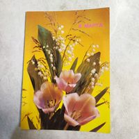 Открытка. 8 марта. Фото И. Леонтьева. 1989 г. Подписана.