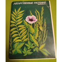 Лекарственные растения. 32 открытки. 5 выпуск. М., 1987.