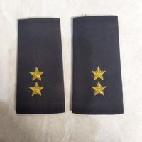 Погоны, муфты, фальш погоны на специальное обмундирование.Прапорщик милиции. Вышитые звёзды.