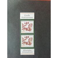 Германия. Сцепка из двух марок за 1999 год "Большая подковообразная летучая мышь" (чистые**) Mi.2086 каталог 2.40 евро