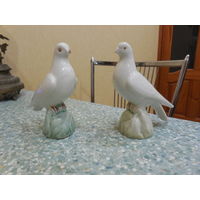 Два голубя. Минск.