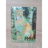 Календарик 1993