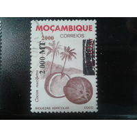 Мозамбик, 2000. Кокос, надпечатка