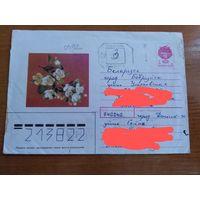 Украина провизорий Донецка ДНР флора редкость