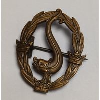 ВОЕННО СПОРТИВНЫЙ ЗНАК ШВЕЦИЯ