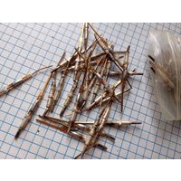 Посеребренка