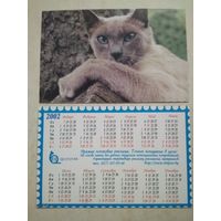 Карманный календарик . Котик. Белпочта. 2002 год