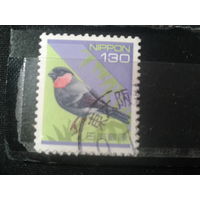 Япония, 1994. Снегирь