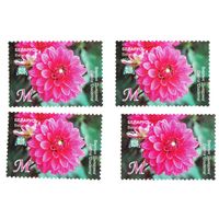 Марка Георгина 'Диадема'