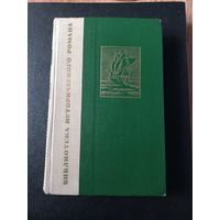 Висенте Рива Паласио. Пираты Мексиканского залива.