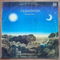 Аквариум, Равноденствие