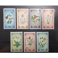 Монголия. 1985 год. Флора. Цветы (255)
