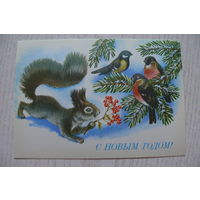 Достян Р., С Новым годом! 1990, чистая (белка, снегири).