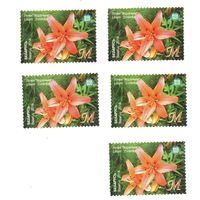 Марка Лилия 'Зоренька'