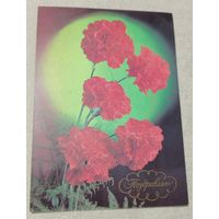 Костенко Г.(фото), Гвоздики, 1988, чистая.
