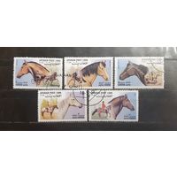 Афганистан. 1999 год. Лошади (1134)