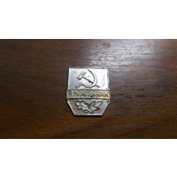 Значек Дружинник