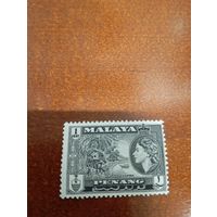 Малайя Пинанг производство копры