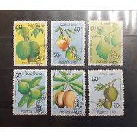 Лаос. 1989 год. Флора. Экзотические фрукты (256)