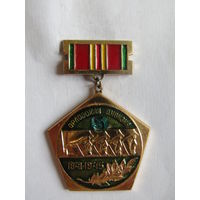 Значок. Знак. Медаль. "Орловская дивизия". СССР.