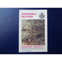 Календарик 1987 г.  Красная книга Узб.ССР.  Мягкоплодник критмолистный.