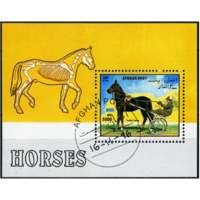 Фауна лошади Афганистан /AFGHAN 1996