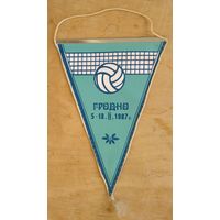 Вымпел. Первенство медвузов СССР по волейболу среди женщин. Гродно. 1987 г.