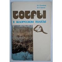 Бобры в белорусском Полесье. В.И.Толкачёв, В.И. Саутин. Университетское. 1988. 88 стр.