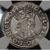 Грош 1529 года. Сигизмунд I Старый. Торунь. Экспертиза