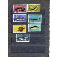 РУМЫНИЯ, 1960, РЫБЫ,  серия 7м, ** гашен