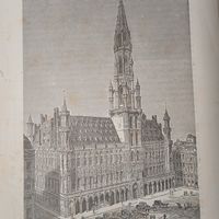 Гравюра энциклопедическая Брюссель. Городская ратуша . 19век. 22х16см.