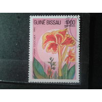 Гвинея Бисау, 1983. Канна