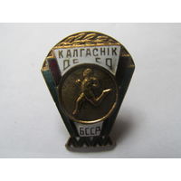 ЗНАЧОК КАЛГАСНИК ДССО БССР.