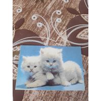 Календарик,котв,1994