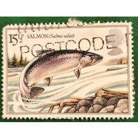 Великобритания 1983. Атлантический лосось